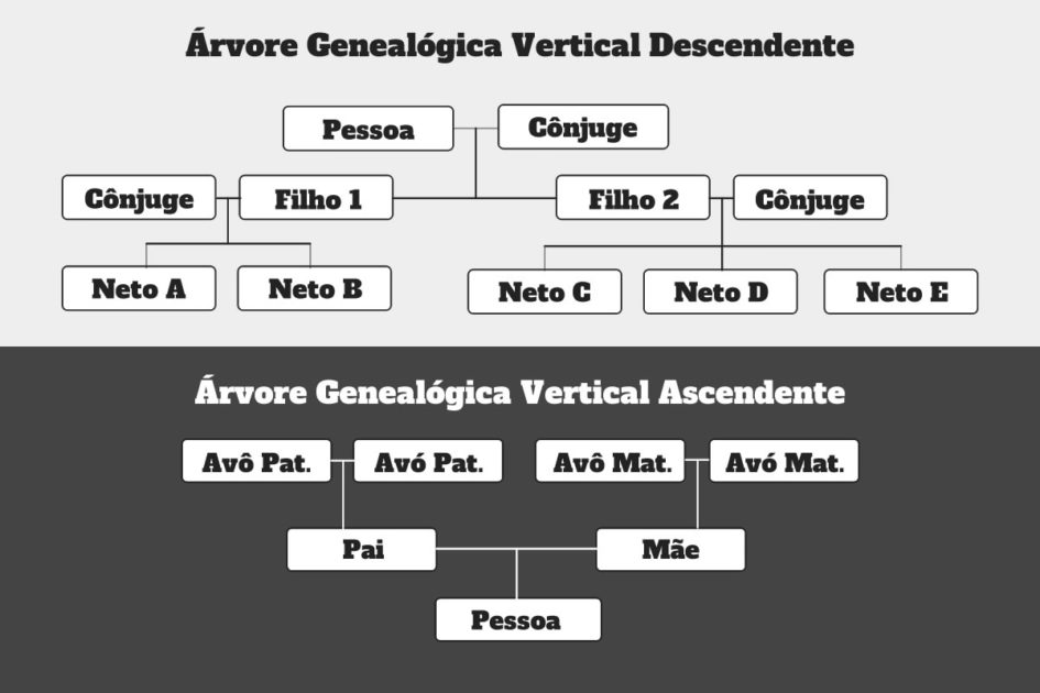 Árvore Genealógica Modelos Em Pdf Italinha 8220